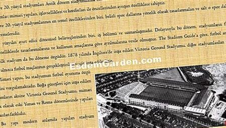 Futbol Stadyumlarının Tarihi